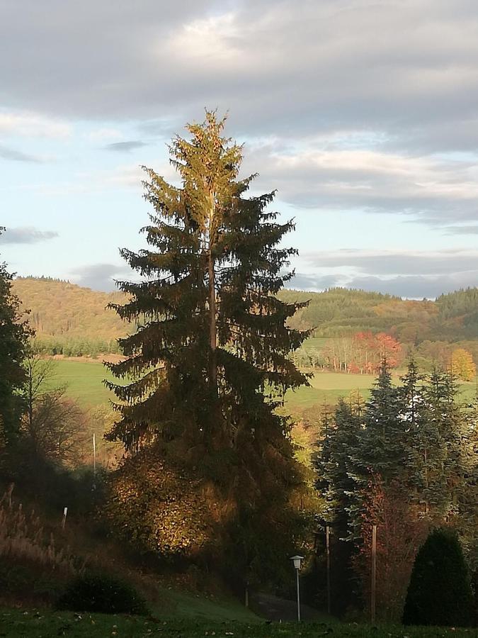 Ferienwohnung-In-Schoenster-Lage Baar  Exteriör bild